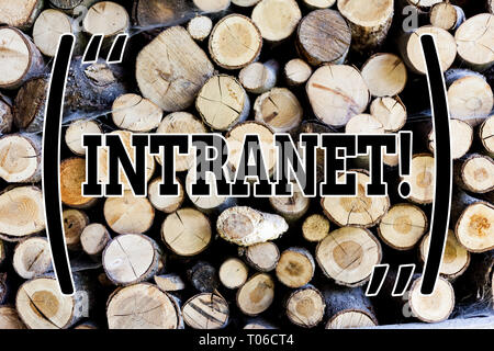 Text Zeichen angezeigt Intranet. Business Foto Text privaten Netzwerk eines Unternehmens miteinander Verknüpft lokale Netzwerke Holz- Hintergrund vintage Holz wild Nachr. Stockfoto