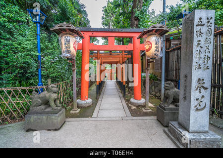 Tokio - 27. Juli 2017: Torii Tore und Komainu (Lion-Dog) Wächter am Eingang der Hanazono Inari Jinja Schrein der Gottheit Ukanomitama verankert. Stockfoto