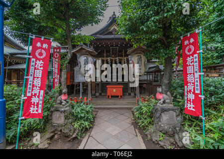 Tokio - 27. Juli 2017: Honden (Große Halle) Der Hanazono Inari Jinja Schrein der Gottheit Ukanomitama verankert. In Ueno Park, Tokio Stockfoto