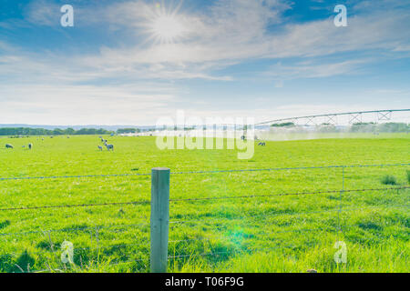 Große mobile Bewässerung Sprinkleranlage, die Verteilung von Wasser für landwirtschaftliche Weide-, Central Otago Neuseeland Stockfoto