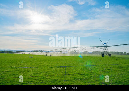 Große mobile Bewässerung Sprinkleranlage, die Verteilung von Wasser für landwirtschaftliche Weide-, Central Otago Neuseeland Stockfoto