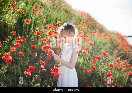 Schöne Mädchen in weißem Kleid Kommissionierung Mohn rot Blumen auf grünem Hügel Stockfoto