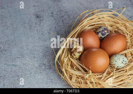 Braun huhn eier mit wachteleier im Heu Nest auf Beton. Nahaufnahme von einer Farm von Eiern. horizontale Ansicht von rohen Hühnereiern. Das Konzept des Dorfes Stockfoto