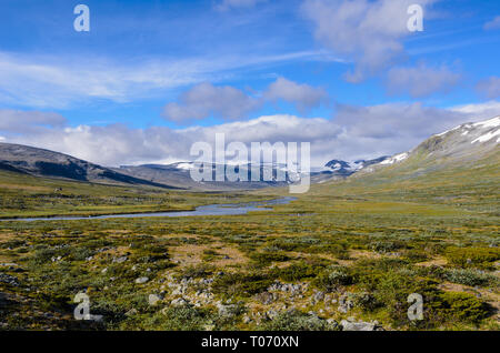 Norwegische feldmark im Jotunheimen Nationalpark Stockfoto