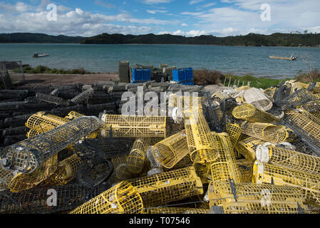 Oyster Käfige, Waiheke Island, in der Nähe von Auckland, Nordinsel, Neuseeland Stockfoto