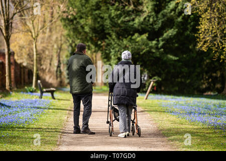 Hannover, Deutschland. 18 Mär, 2019. Ein Mann (l) und eine Frau mit Rolator Spaziergang durch den Friedhof am Lindener Berg. Blue Stars (Scilla siberica) blühen auf den Wiesen. Credit: Christophe Kirschtorte/dpa/Alamy leben Nachrichten Stockfoto