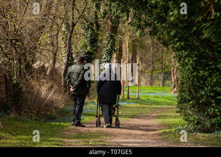 Hannover, Deutschland. 18 Mär, 2019. Ein Mann (l) und eine Frau mit Rolator Spaziergang durch den Friedhof am Lindener Berg. Blue Stars (Scilla siberica) blühen auf den Wiesen. Credit: Christophe Kirschtorte/dpa/Alamy leben Nachrichten Stockfoto