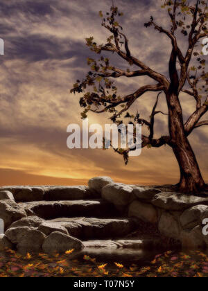 Abbildung: dunkel und unheimlich mit Abendhimmel, getrocknet Bäume und Steintreppen Stockfoto