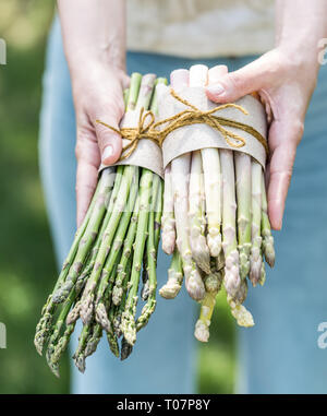 Bündel von weißem und grünem Spargel in der famer Hände. Natur Hintergrund. Stockfoto