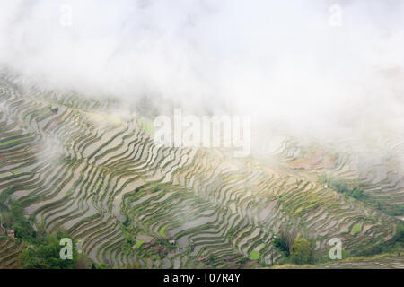 Bana scenic Spot in Yuanyang Reisterrassen in der Provinz Yunnan Stockfoto