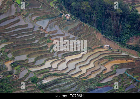 Bana scenic Spot in Yuanyang Reisterrassen in der Provinz Yunnan Stockfoto