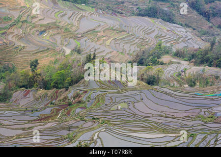 Bana scenic Spot in Yuanyang Reisterrassen in der Provinz Yunnan Stockfoto