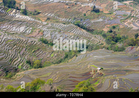 Bana scenic Spot in Yuanyang Reisterrassen in der Provinz Yunnan Stockfoto