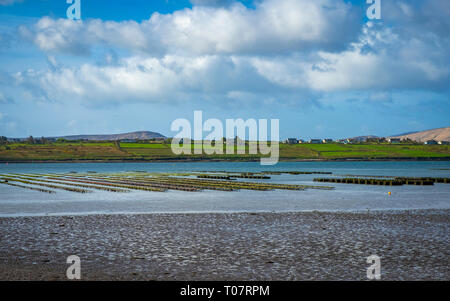 Ballycarberry Castle in der Nähe von Tipperary, Co Kerry, Irland Stockfoto