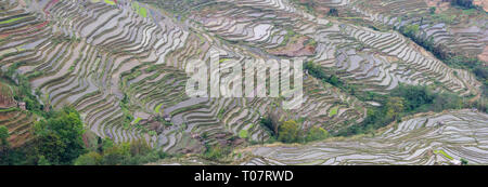 Bana scenic Spot in Yuanyang Reisterrassen in der Provinz Yunnan Stockfoto