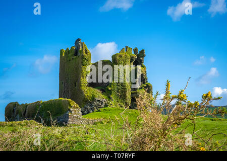 Ballycarberry Castle in der Nähe von Tipperary, Co Kerry, Irland Stockfoto