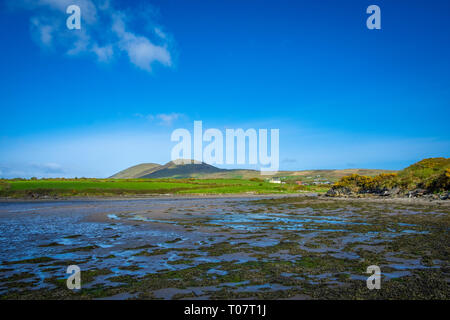 Ballycarberry Castle in der Nähe von Tipperary, Co Kerry, Irland Stockfoto