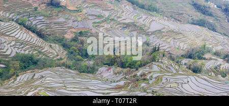 Bana scenic Spot in Yuanyang Reisterrassen in der Provinz Yunnan Stockfoto