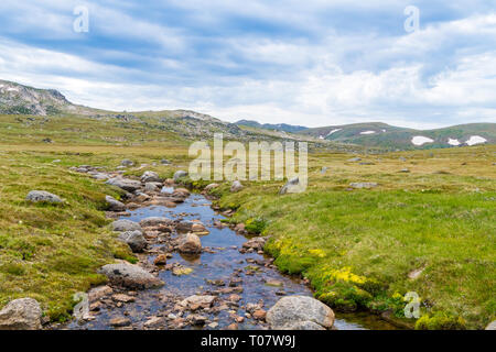 Blick über Snowy River in Kosciuszko National Park, NSW, Australien. Natur Hintergrund mit Pflanzen und Vegetation. Stockfoto