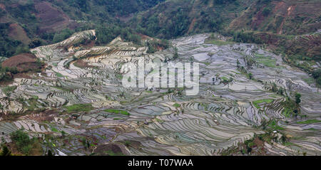 Blick auf Reisterrassen von Tigers Mund scenic Spot in Yuanyang Stockfoto