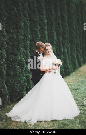 Glückliches Hochzeitspaar zu Fuß in ein botanischer park Stockfoto