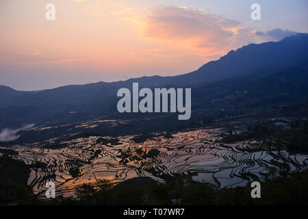 Sonnenaufgang über Reisterrassen in Yuanyang mit schönen Reflexionen in Yunnan Stockfoto