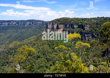 Blick auf Jamison Tal und die Berge von Lady's Darley Lookout in der Nähe von Katoomba, Blue Mountains National Park, New South Wales, Australien. Stockfoto