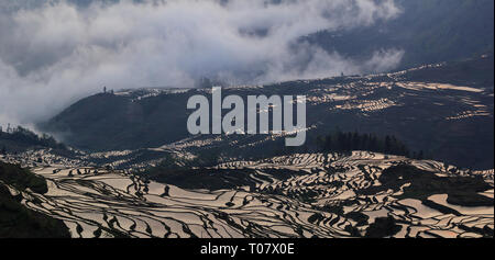 Sonnenaufgang über Reisterrassen in Yuanyang mit schönen Reflexionen in Yunnan Stockfoto