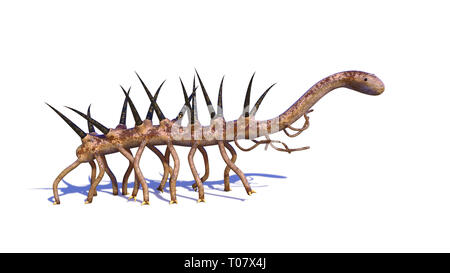 Hallucigenia, prähistorische aquatische Tierarten aus der Cambrian Zeitraum isoliert auf weißem Hintergrund (3d-Wissenschaft rendering) Stockfoto