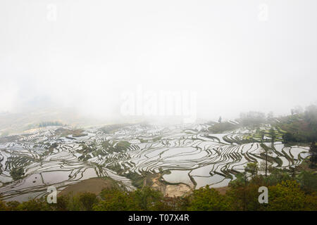 Reisterrassen bei Duoyishu scenic Spot in Yuanyang UNESCO-Welterbe in Yunnan Stockfoto