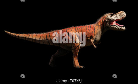 Tyrannosaurus Rex T-Rex Dinosaurier aus der Kreidezeit (3d dino Rendering auf schwarzem Hintergrund isoliert) Stockfoto