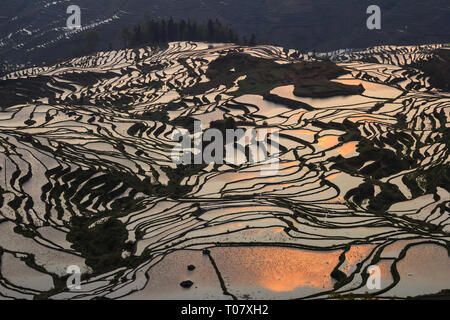 Sonnenaufgang über Reisterrassen in Yuanyang mit schönen Reflexionen in Yunnan Stockfoto