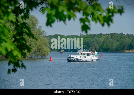 Griebnitzsee, Potsdam, Brandenburg, Deutschland Stockfoto