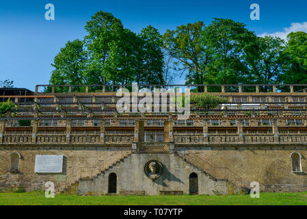 Winzerberg, Schopenhauerstrasse, Potsdam, Brandenburg, Deutschland Stockfoto