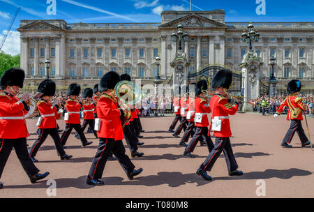 Band, den Wachwechsel, Buckingham Palace, London, England, Grossbritannien Stockfoto