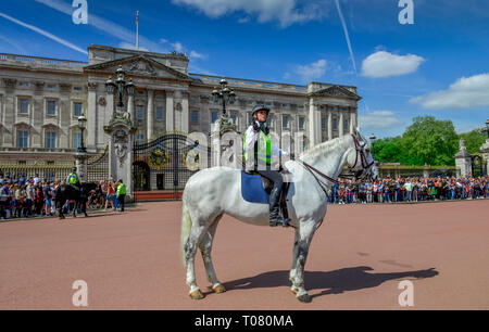 Berittene Polizistin, den Wachwechsel, Buckingham Palace, London, England, Grossbritannien Stockfoto