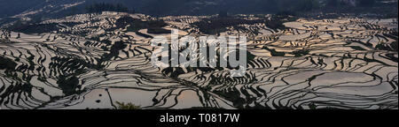 Sonnenaufgang über Reisterrassen in Yuanyang mit schönen Reflexionen in Yunnan Stockfoto