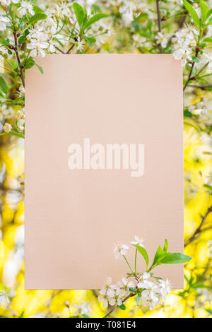 Papier leer zwischen cherry Niederlassungen in Blüte. Bunte grün und gelb Natur Hintergrund. Stockfoto