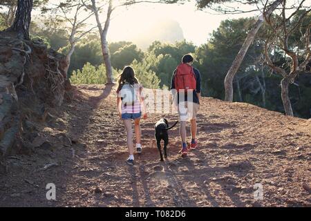 Zurück Blick auf Jugendliche mit Rucksäcken Spaziergang mit dem Hund im Wald bei Sonnenuntergang Stockfoto