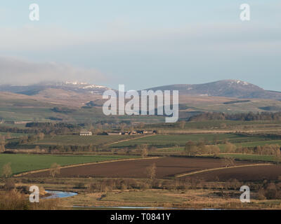 Landschaft in der Nähe von Rothbury, Northumberland, Blick nach Norden, früh morgens nach Sonnenaufgang, goldenes Licht, Schnee auf Cheviot Stockfoto