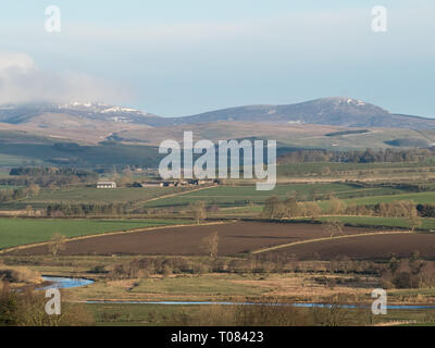 Landschaft in der Nähe von Rothbury, Northumberland, Blick nach Norden, früh morgens nach Sonnenaufgang, goldenes Licht, Schnee auf Cheviot Stockfoto