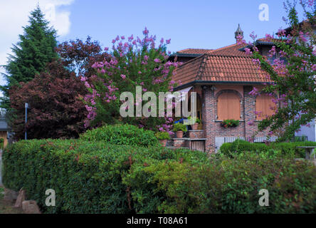 Garten mit gepflegten Hecken und blühende Bäume im Frühling Stockfoto