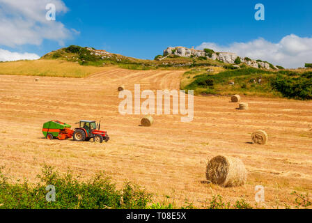 Bauer auf dem Traktor, Heuballen auf sardischen Landschaft in Italien Stockfoto