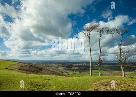 Der frühe Frühling an Chanctonbury Ring in West Sussex, England. South Downs National Park. Stockfoto