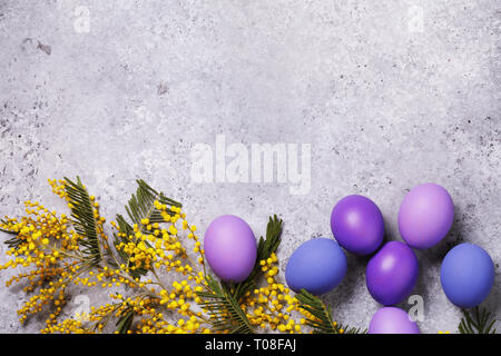 Ein Zweig der Mimosen und Ostereier in verschiedenen Farben auf einer Tafel mit Kopie Raum eingerichtet, Ansicht von oben Stockfoto