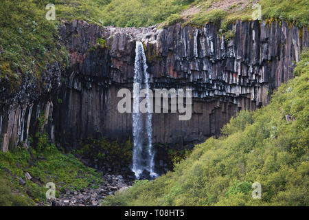 Svartifoss Wasserfall in Island in der Sommersaison Stockfoto