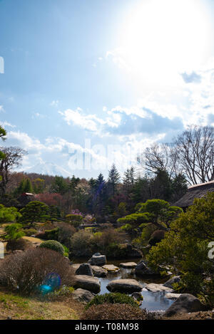 Traditionelles Haus, spring garden im antiken Oshino Hakkai Dorf in der Nähe von Mt. Fuji, Fuji fünf See Region, Bezirk Minamitsuru, Yamanashi Präfektur, Ja Stockfoto