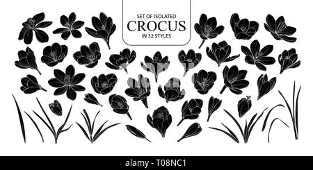 Eingestellt von isolierten silhouette Crocus in 32 Arten. Süße Hand gezeichnet Blume Vector Illustration in weißer Umriss und schwarzen Flugzeug auf weißem Hintergrund. Stock Vektor