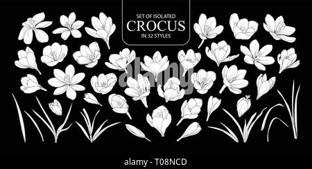 Eingestellt von isolierten weißen silhouette Crocus in 32 Arten. Süße Hand gezeichnet Blume Vector Illustration in weißen Fläche ohne Umriss auf schwarzem Hintergrund. Stock Vektor