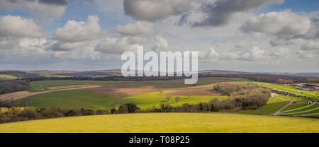 Blick in Richtung Goodwood Estate Pferderennbahn von Trundle (St Roche's Hill) in den South Downs National Park in der Nähe von Chichester, West Sussex, Großbritannien Stockfoto